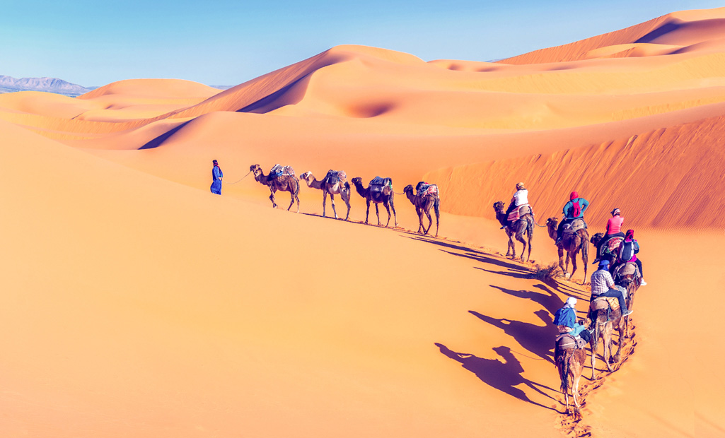 THE TOUR OF OASIS, DUNES & DESERT